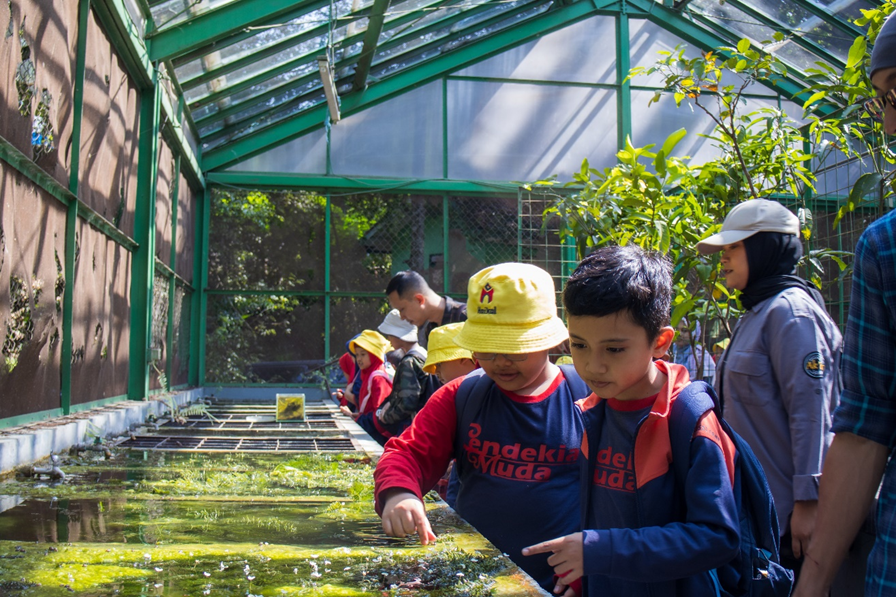 Wisata Edukasi Siswa Siswi Sd Cendekia Muda Kota Bandung Ke Arboretum 