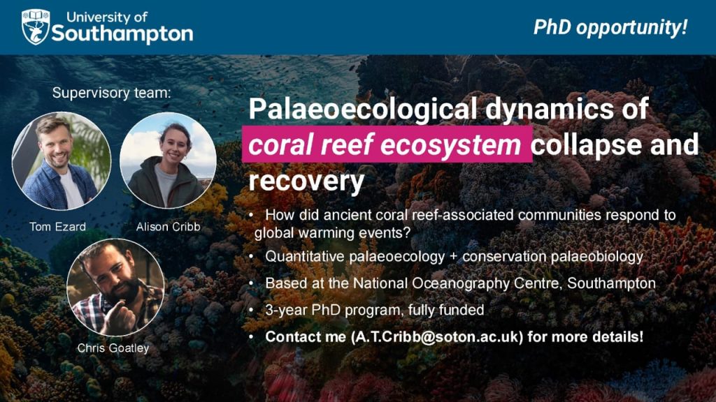 phd opportunity