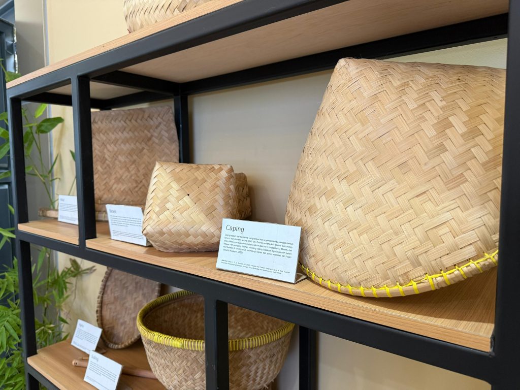 bamboo 3